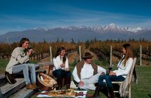 Malbec & Mountain Uco Valley Private Wine Tour with Gourmet Lunch
