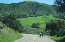 Wine Country Half-Day Bike Tour from Solvang - w/o Lunch