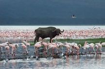 6 Days Kenya Classic Safari