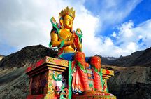 Pangong Ladakh Tour