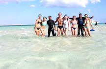 Snorkeling on Ras Mohamed and White Island in Sharm El Sheikh