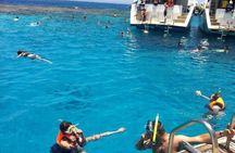 Snorkeling on Ras Mohamed and White Island in Sharm El Sheikh