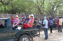 Private 6 Days Golden Triangle Tour with Ranthambore Safari