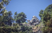 Nature's Trail: Dehradun to Mussoorie Private Day Trip