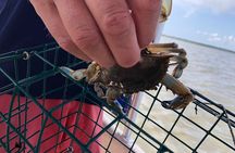 OC Bay Hopper Crabbing 