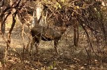 Private Full Day Outdoor Activities in Jaipur with Tickets