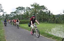 Bali Cycling Tour