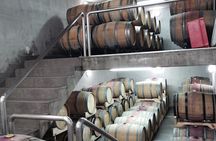 Wine Tasting Experience at the organic winery in Šišan