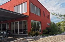 Wine Tasting Experience at the organic winery in Šišan