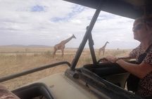 8-Day Private Guided Tanzania Safari with Pick Up