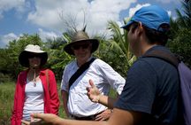 Small Group Guayaquil and Cocoa Farm Full-Day Tour
