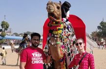 Private 9 Days Heritage Tour of Rajasthan By Car & Driver