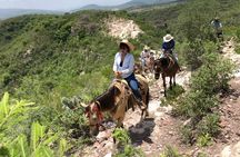 Half Day Excursion - Horseback Riding Adventure in SMA 