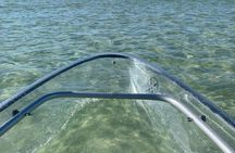 Clear Kayak Guided Eco Tour in North Naples