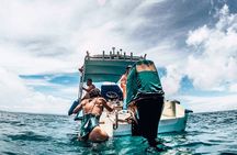 Caño Island all inclusive Snorkeling Tour in small groups