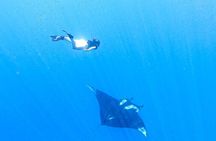 Caño Island all inclusive Snorkeling Tour in small groups