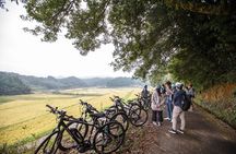 Guided Cycling tour in Hagi with Sake Brewery Visit