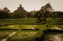 Day Excursions to UNESCO City ANURADHAPURA from Negombo