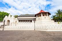 5 Day Multi-City Sightseeing Tour
