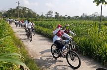 Private Borobudur Village Tour by Bike