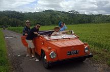 Private Borobudur Village Trip By Volkswagen Safari