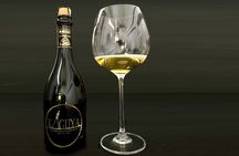 One hour Wine, Beer, and Mead Guided Tasting in Costa Rica’s Central Valley