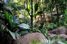 Private Fond Ferdinand and Anse Lazio Tour from Baie Sainte Anne