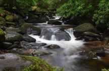 Torc mountain & waterfall hike. Killarney. Private guided group. 3½ hours.