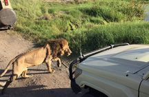 4-Day Safari to Tarangire, Serengeti and Ngorongoro from Arusha - Join a group