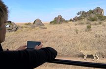 4-Day Safari to Tarangire, Serengeti and Ngorongoro from Arusha - Join a group