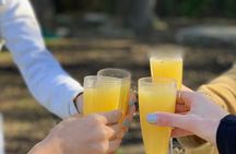 Outdoor Yoga and Mimosas in Austin