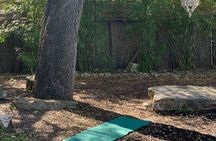 Outdoor Yoga and Mimosas in Austin