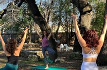 Outdoor Yoga and Mimosas in Austin