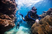 Discover Scuba Diving in Palamos