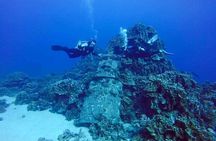 Shared Scuba Diving Experience on Easter Island one dive only