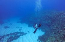 Shared Scuba Diving Experience on Easter Island one dive only