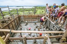 Totumo Mud Volcano from Cartagena
