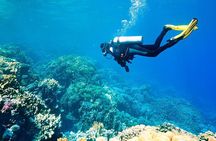 Shared Scuba Diving Experience on Easter Island one dive only