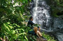 Bathing in the Forest Trail in Foz do Iguaçu