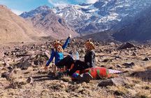 Atlas Mountain & Camel ride, day trip