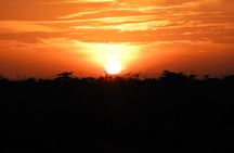 Private Adventure: Nairobi park, Elephants & Giraffe centre