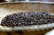 Private Meru Coffee Tour in Nkoaranga