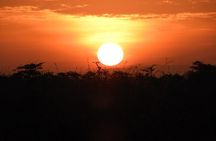 Nairobi National Park Drive & Giraffe Centre