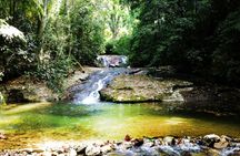 Guided Tour in Tijuca Forest with transfer