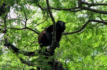 Santa Rosa National Park & Liberia City Tour Incl. Lunch