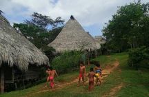 Private Embera village Eco-Cultural Tour, jungle waterfall, and nature hiking 