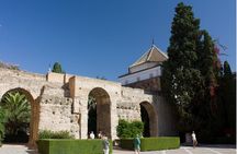 Alcazar Guided Day Tour in Seville