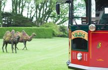 Newport Trolley Tour with Marble House - Viking Tours
