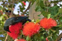 Spectacular Wellington: Full Day Private Sightseeing Tour