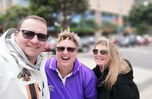 Spectacular Wellington: Half Day Private Sightseeing Tour